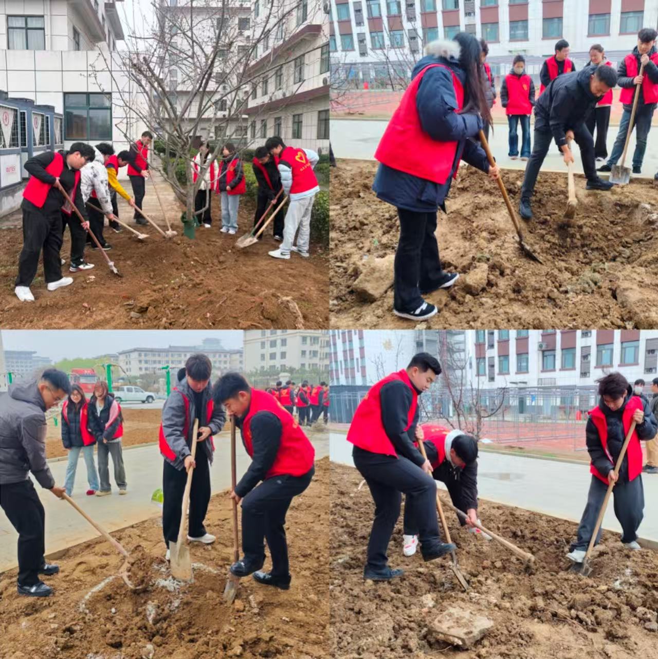 37554a06e53441c4989feefdd193640e